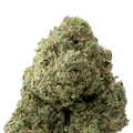 Cherry Gelato Greenhouse THCa Flower | 28 Grams 