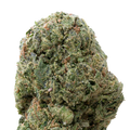 Tropicana Cookies Greenhouse THCa Flower acro
