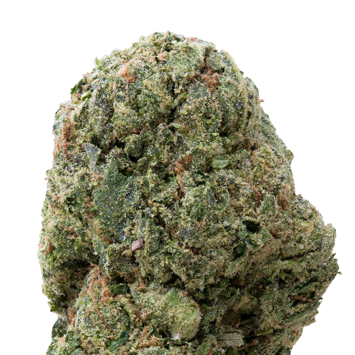 Tropicana Cookies Greenhouse THCa Flower acro