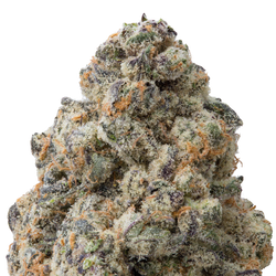 Candy Apples Big THCA Flower macro