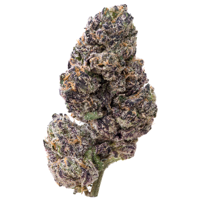 Candy Cartel Big THCA Flower nug