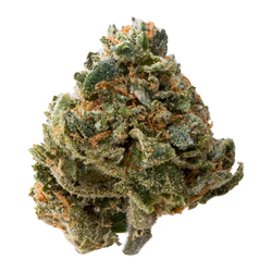 Candy Peach Smalls nug