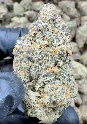 Candyland Indoor THCa Flower Ounce 