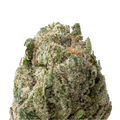 Candyland THCa Flower macro