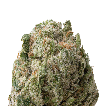 Candyland THCa Flower macro