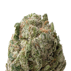 Candyland THCa Flower macro