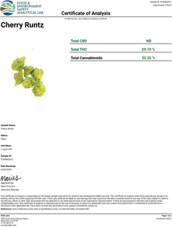 cherry runtz COA