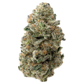 Colombian Gold Premium Indoor THCa Flower nug