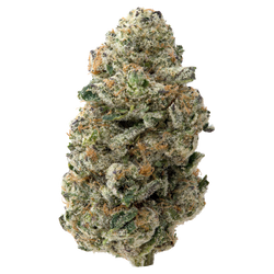 Colombian Gold Premium Indoor THCa Flower nug