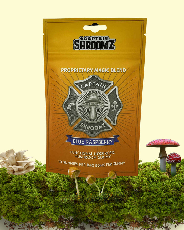 Captain Shroomz Magic Mushroom OG Noctropic Gummy | 3.5G 