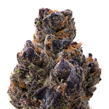 Crunchberry THCA Flower macro