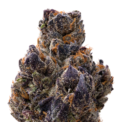 Crunchberry THCA Flower macro