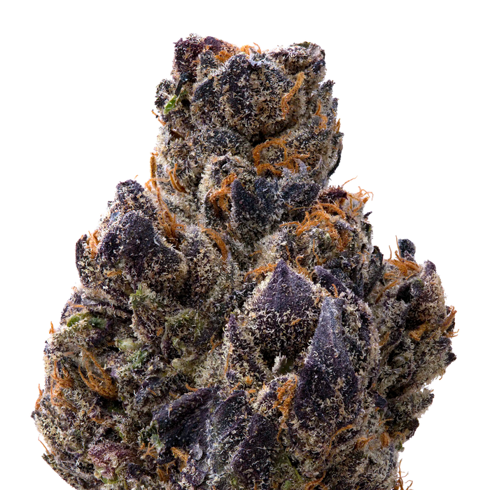 Crunchberry THCA Flower macro