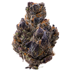 Crunchberry THCA Flower nug