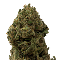 Critical Berries Greenhouse Smalls | 28 Grams