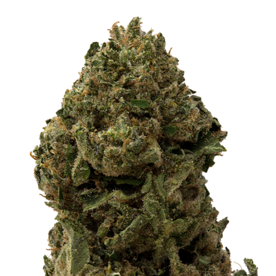 Critical Berries Greenhouse Smalls | 28 Grams