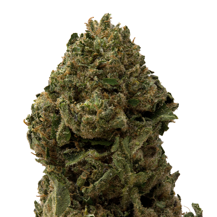 Critical Berries Greenhouse Smalls | 28 Grams