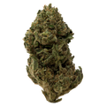 Critical Berries Greenhouse Smalls | 28 Grams