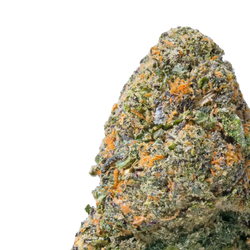 Diesel Runtz THCa Flower close up