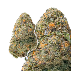 Diesel Runtz THCa Flower compared