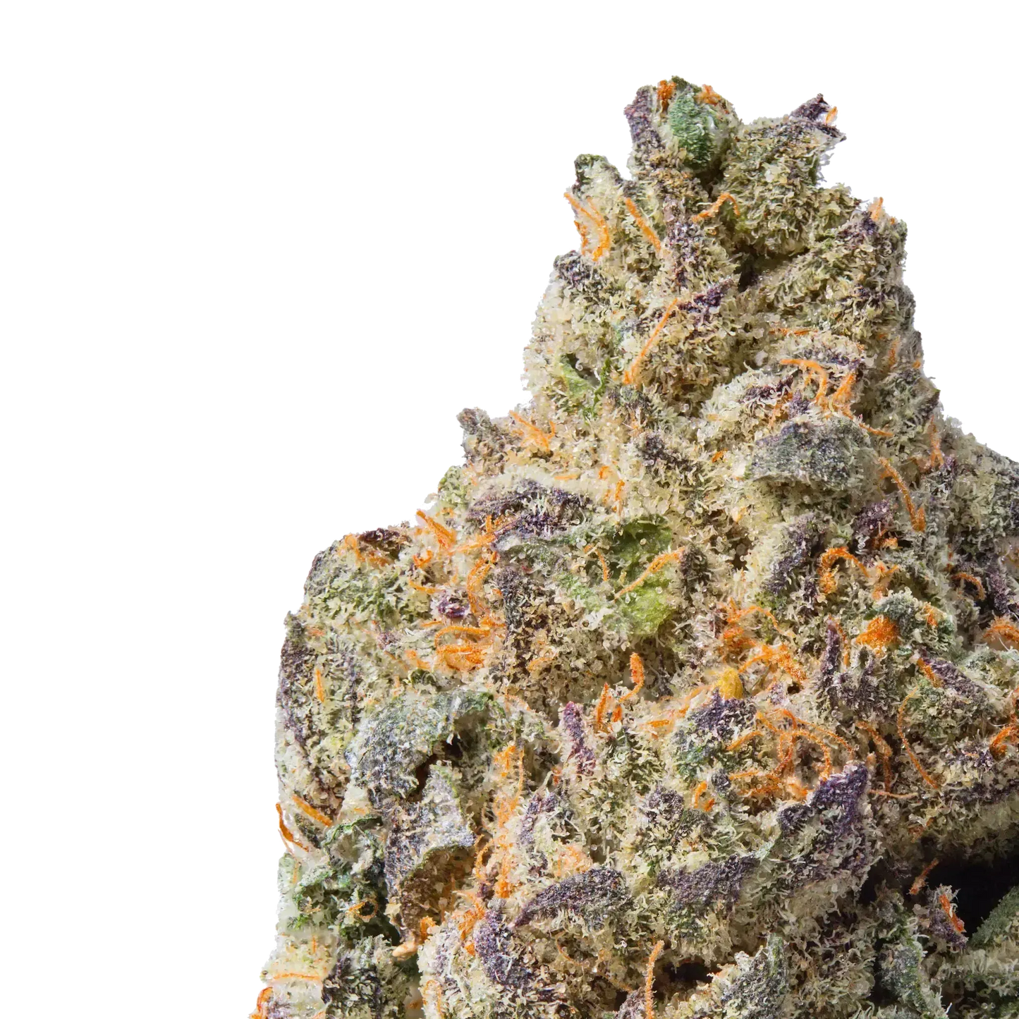 divorce cake thca flower close up