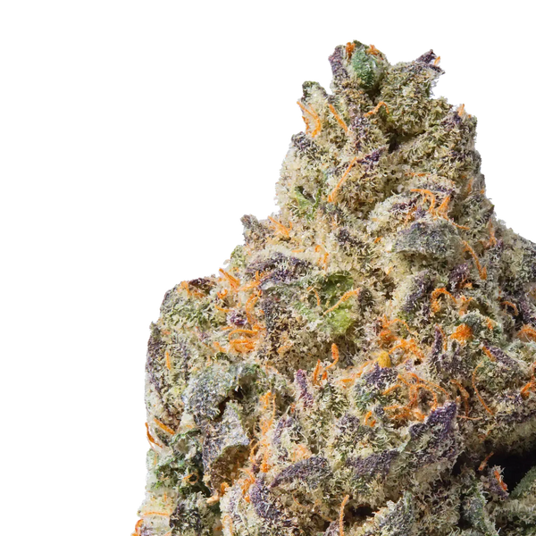 divorce cake thca flower close up