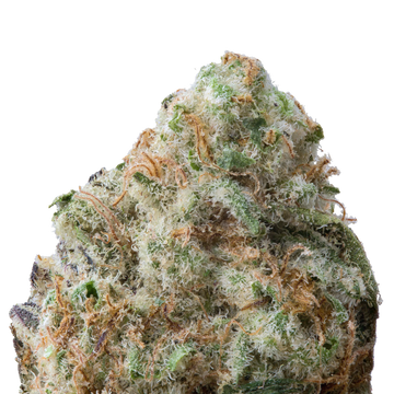 Divorce Cake THCa Flower macro