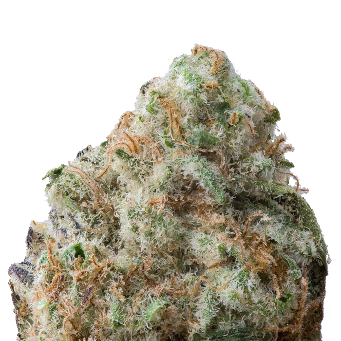 Divorce Cake THCa Flower macro