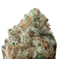 Divorce Cake THCa Flower macro