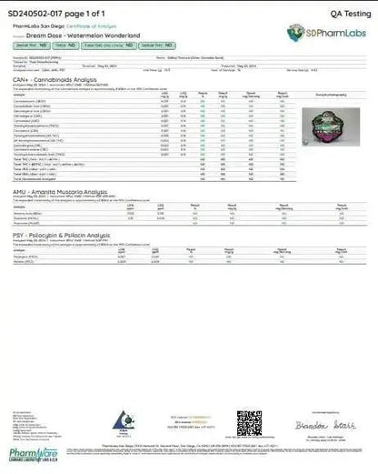 Dream Dose | Magic Mushroom Gummies | Watermelon Wonderland Supergreenshempco