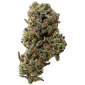 Grand Daddy Purp Greenhouse THCa Flower | 28 Grams 