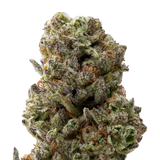 Grand Daddy Purp Greenhouse THCa Flower | 28 Grams