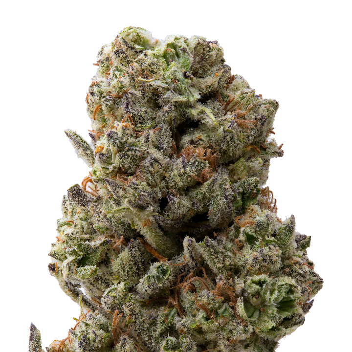 Grand Daddy Purp Greenhouse THCa Flower | 28 Grams