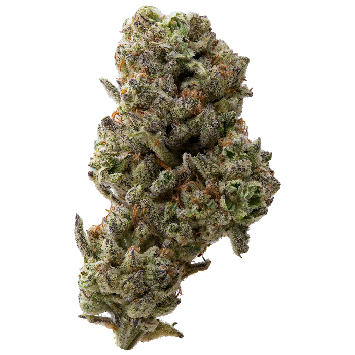 Grand Daddy Purp Greenhouse THCa Flower | 28 Grams 
