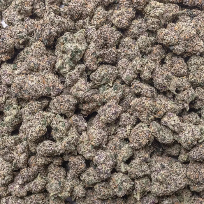 GMZ THCa Flower supergreenshempco