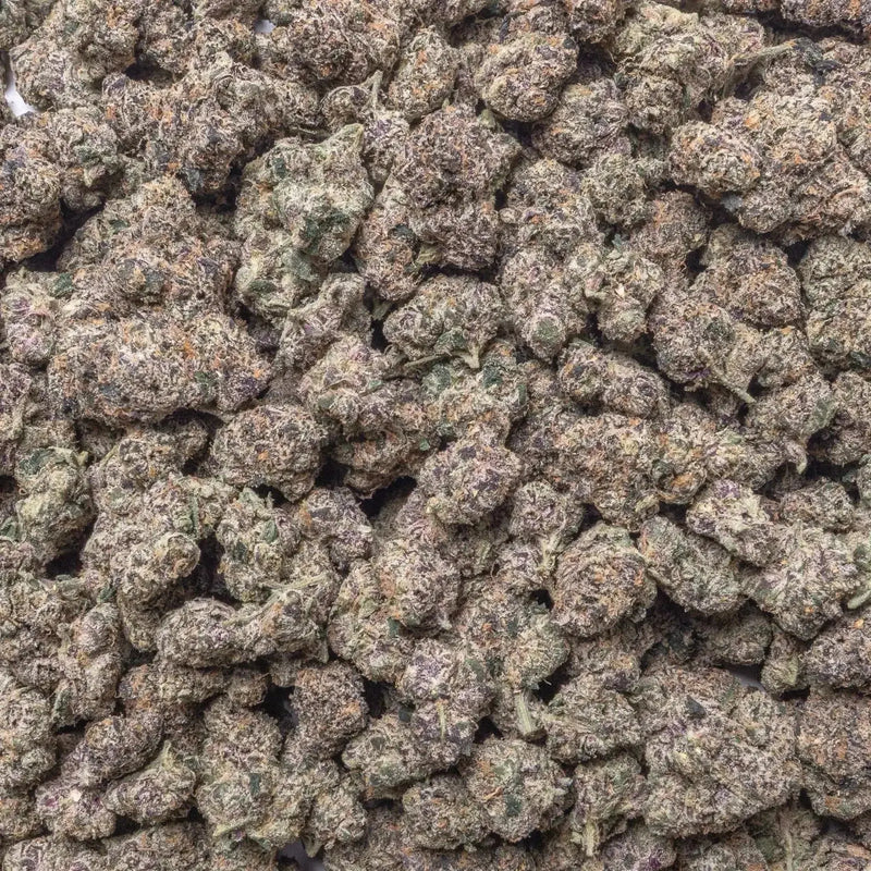 GMZ THCa Flower supergreenshempco