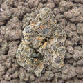GMZ THCa Flower supergreenshempco