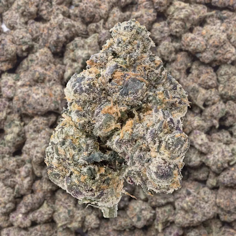 GMZ THCa Flower supergreenshempco