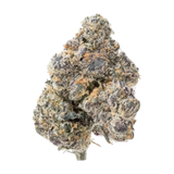 GMZ THCa Flower