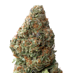 Garlic Light Greenhouse THCA Flower 