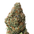 Garlic Cookies THCA Flower macro