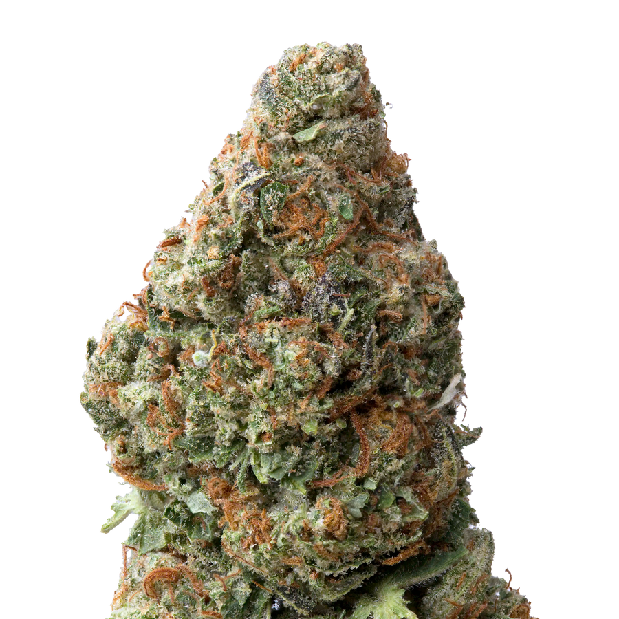 Garlic Cookies THCA Flower | 28 Grams