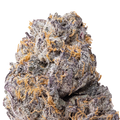 Gary Payton THCa Flower macro