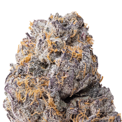 Gary Payton THCa Flower macro