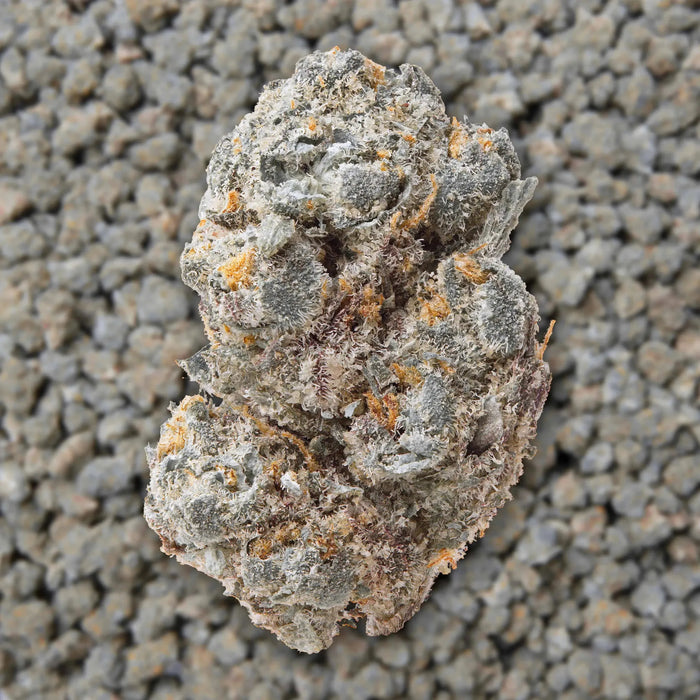 Gary Payton Smalls THCa Flower supergreenshempco