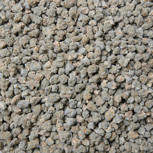 Gary Payton Smalls THCa Flower supergreenshempco