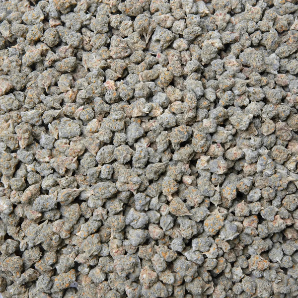 Gary Payton Smalls THCa Flower supergreenshempco