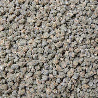 Gary Payton Smalls THCa Flower supergreenshempco