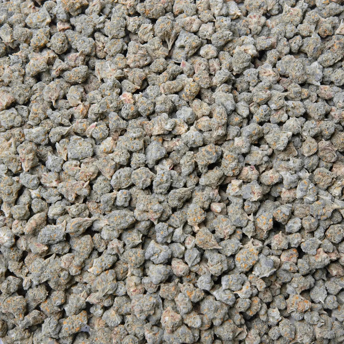 Gary Payton Smalls THCa Flower supergreenshempco