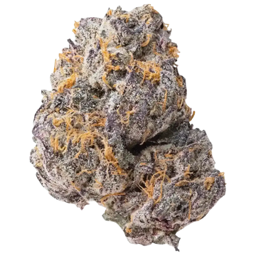 Gary Payton THCa Flower Ounce supergreenshempco